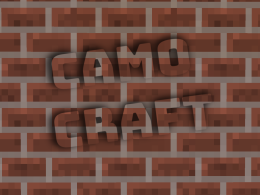 Camo Craft!