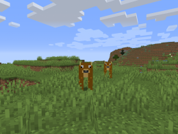 deers