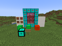 Blocks and items