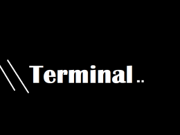 Terminal